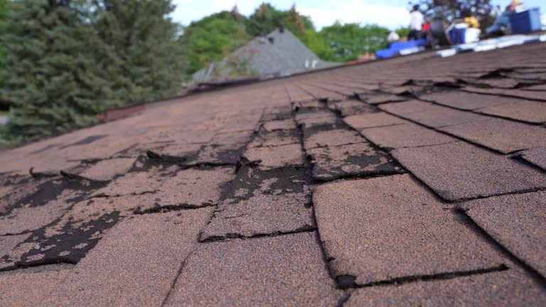Best Gutter Installation and Repair  in Bonner Springs, KS