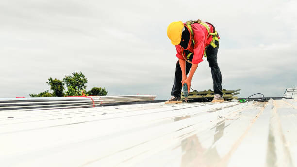 Best Solar Panel Roofing Installation  in Bonner Springs, KS