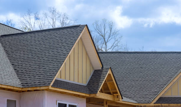 Best Roof Moss and Algae Removal  in Bonner Springs, KS