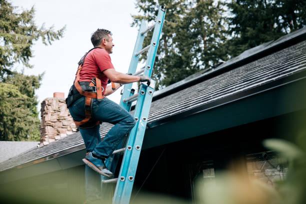 Best Metal Roofing Installation  in Bonner Springs, KS